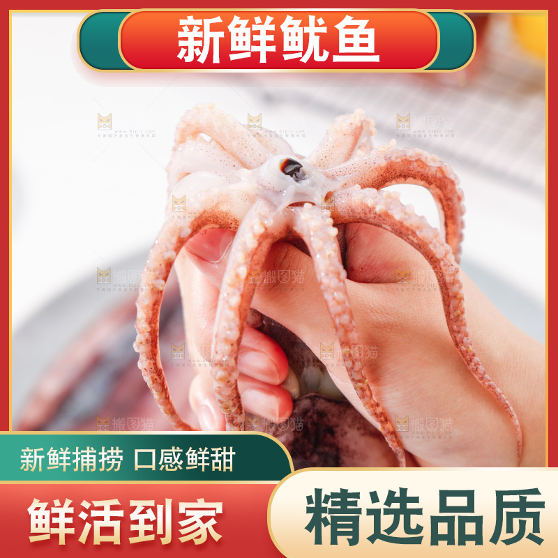 手上拿着大鱿鱼