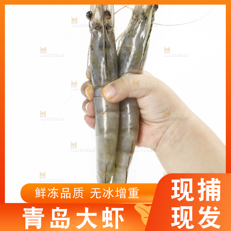 手上拿着新鲜对虾