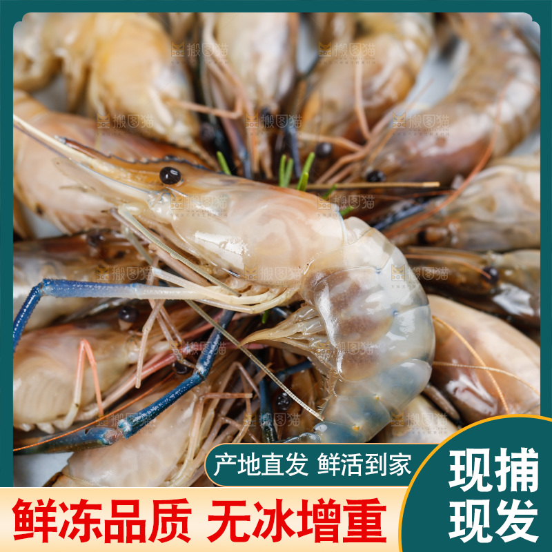 盘子里放着罗氏虾