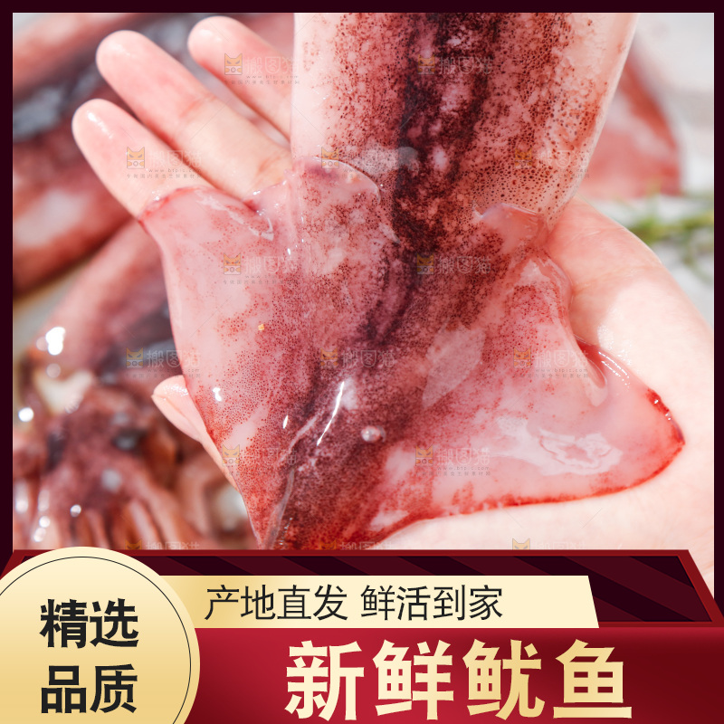 手上拿着大鱿鱼