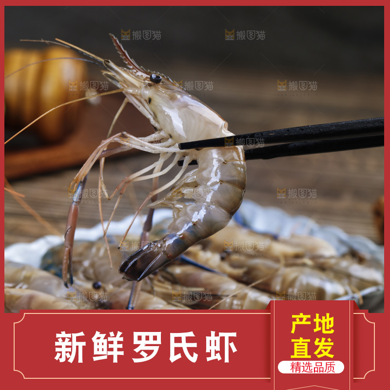 筷子上夹着罗氏虾