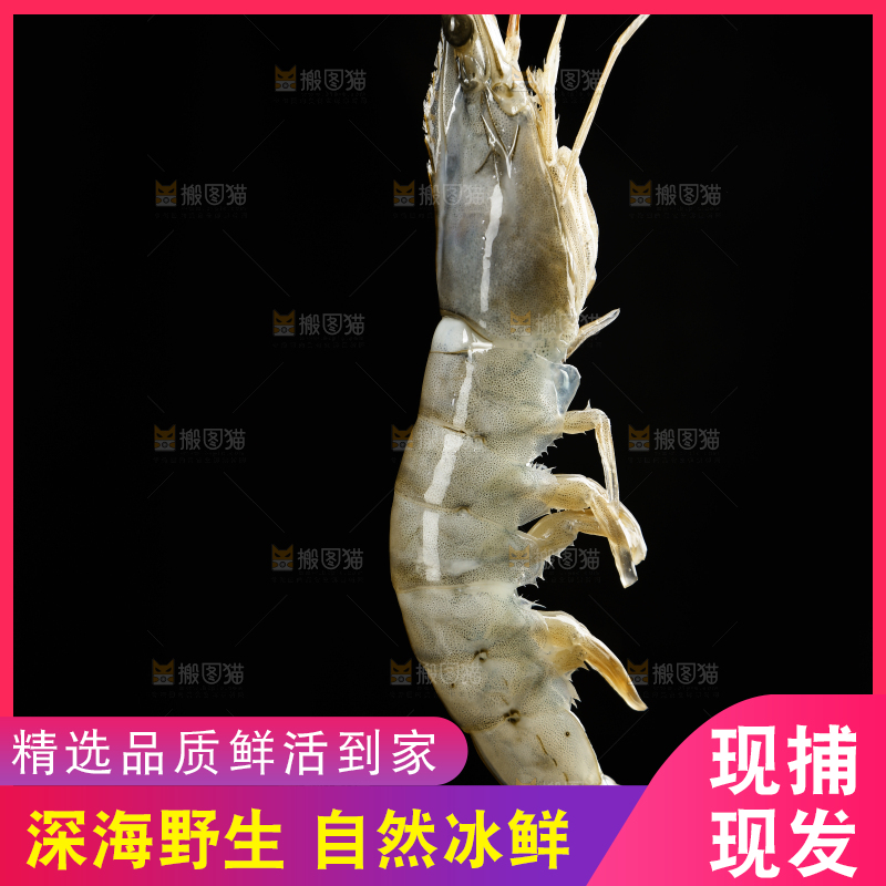 手上拿着对虾