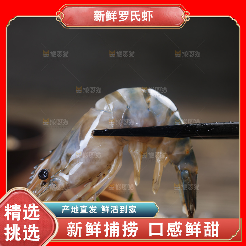 筷子上夹着罗氏沼虾