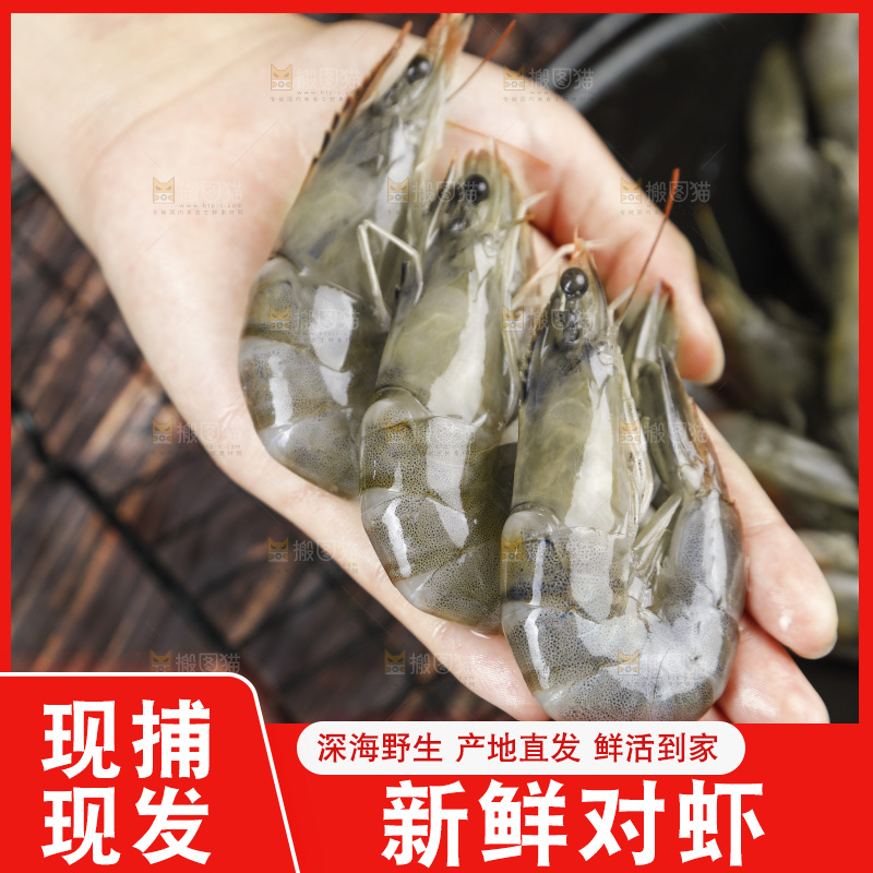 放在手上的对虾