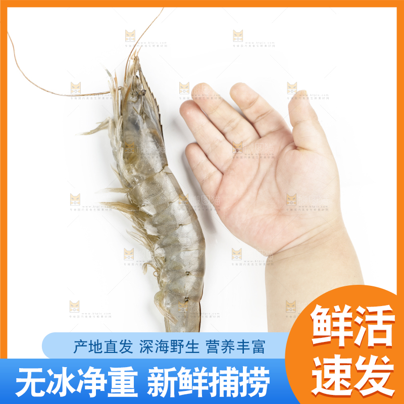 手上拿着新鲜对虾