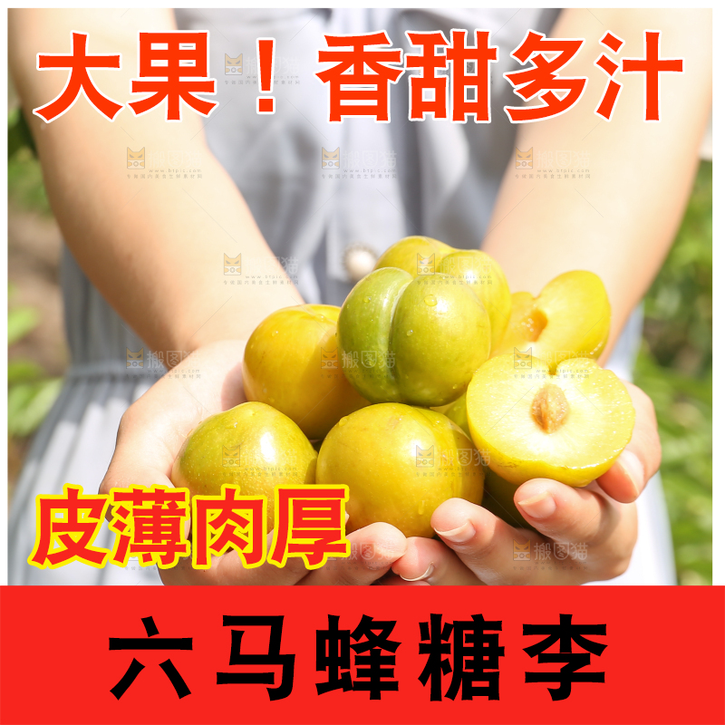 手上捧着新鲜蜂糖李