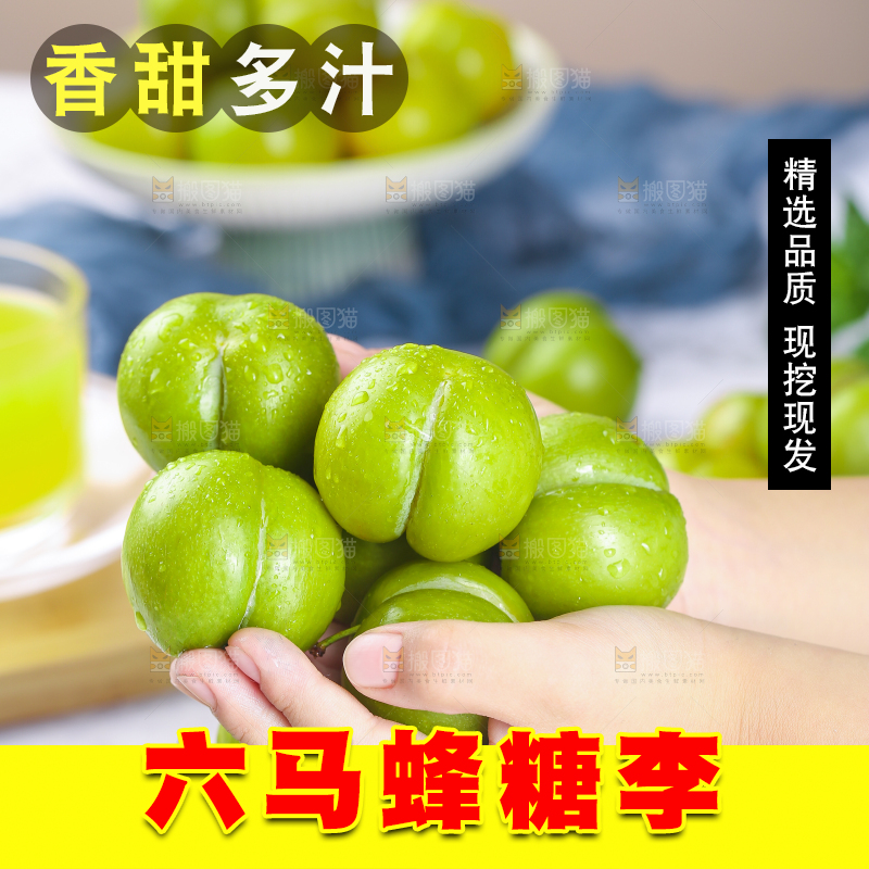 手上捧着蜂糖李