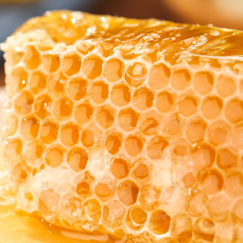 盘子里装着蜂巢蜜
