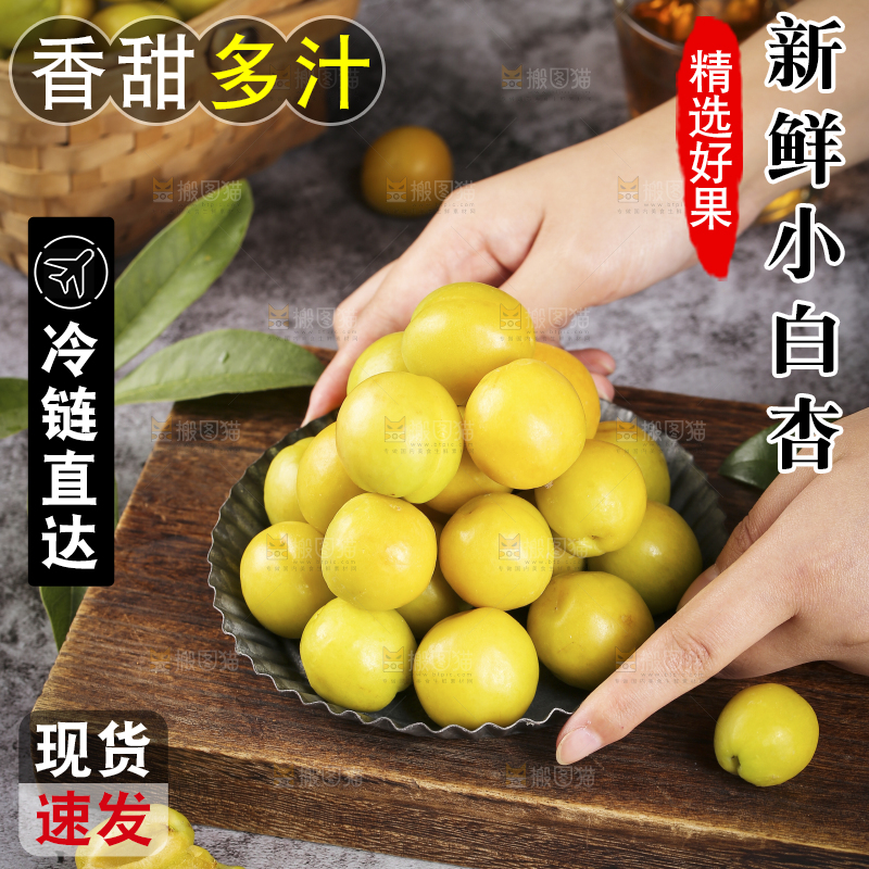 手上端着的小白杏