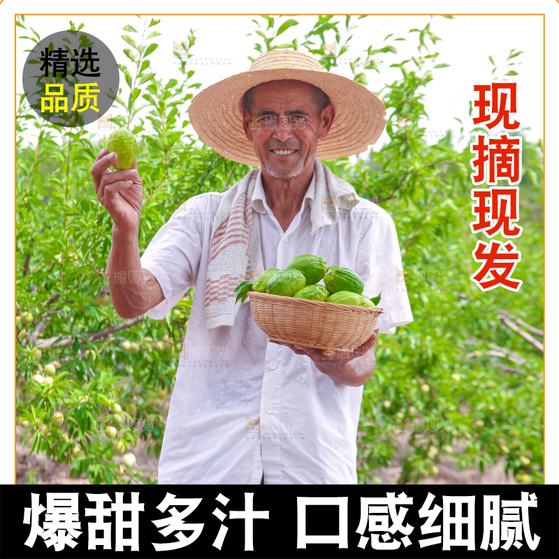 农民手上拿着柠檬