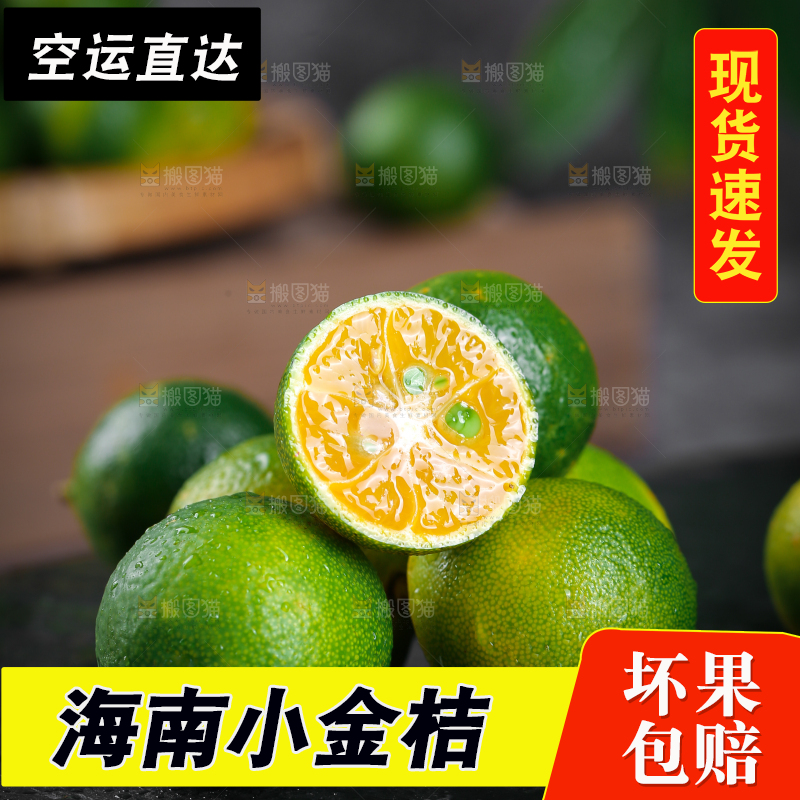 黑底上放着小金桔