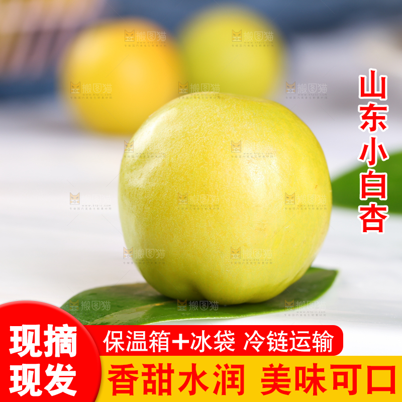 白底上放着小白杏