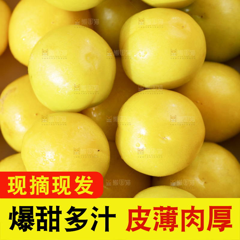 一堆新疆小白杏