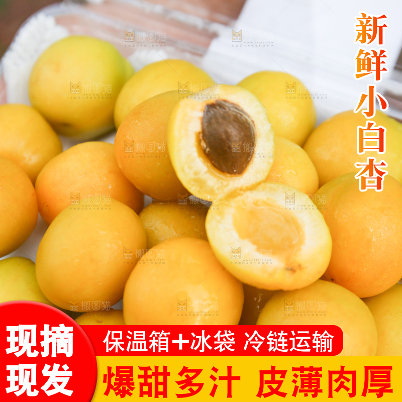 盒子里装着小白杏