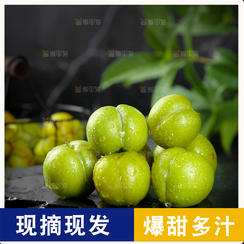 黑底上放着蜂糖李