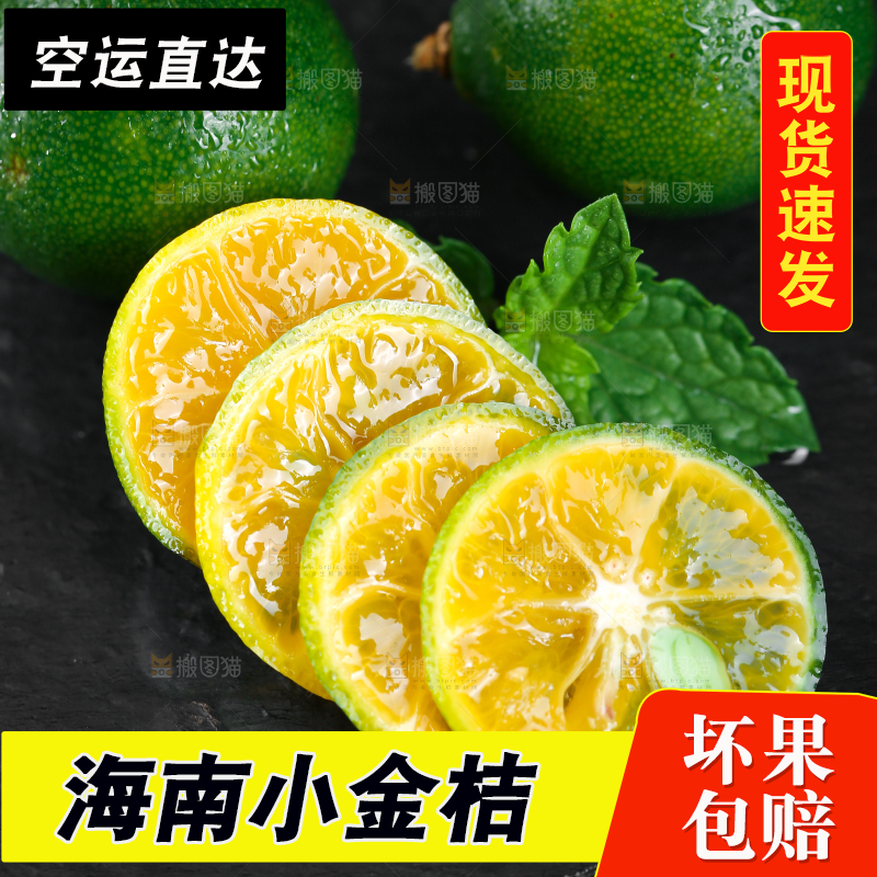 黑底上放着小金桔