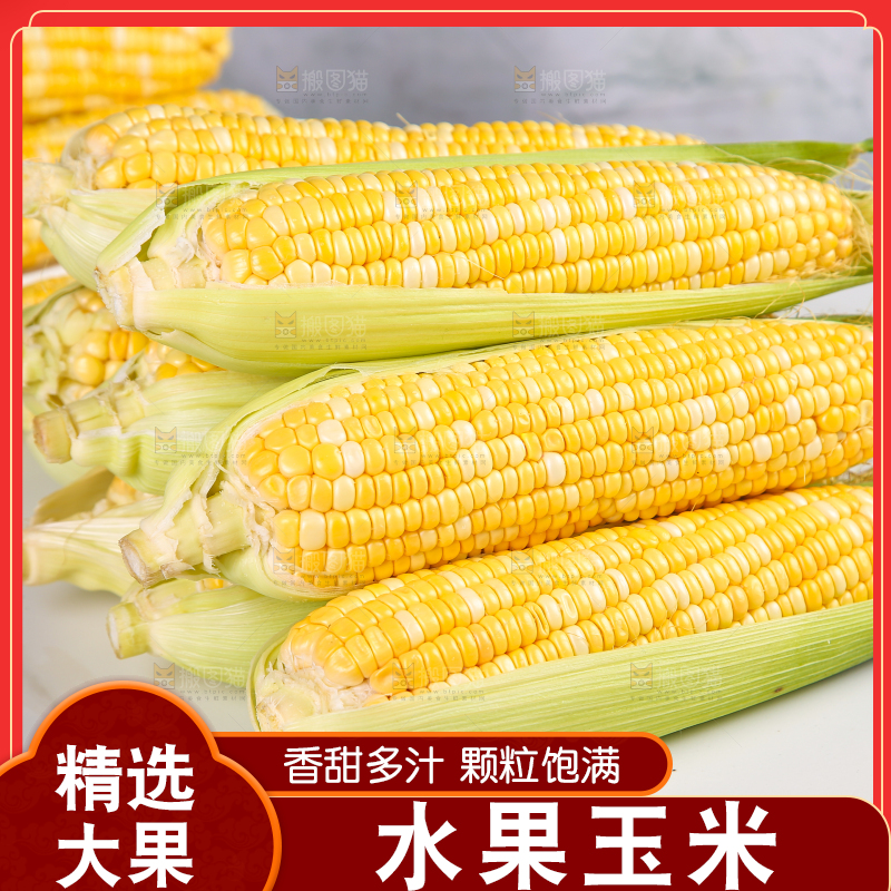 白底上放着一堆水果玉米