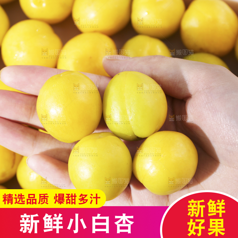 手上拿着的小白杏