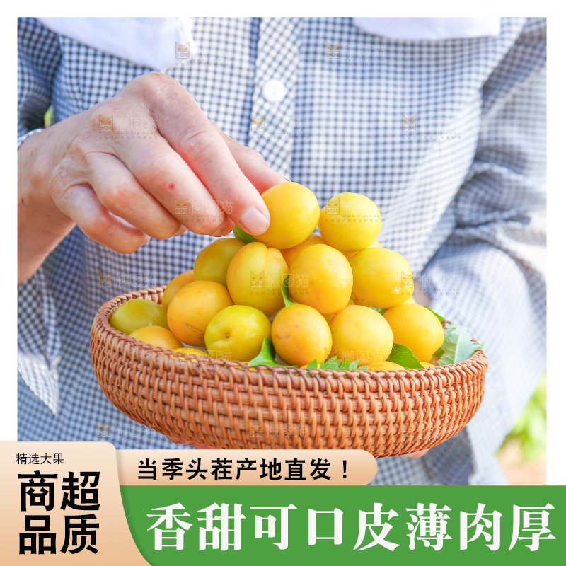 农民手上拿着一筐小白杏