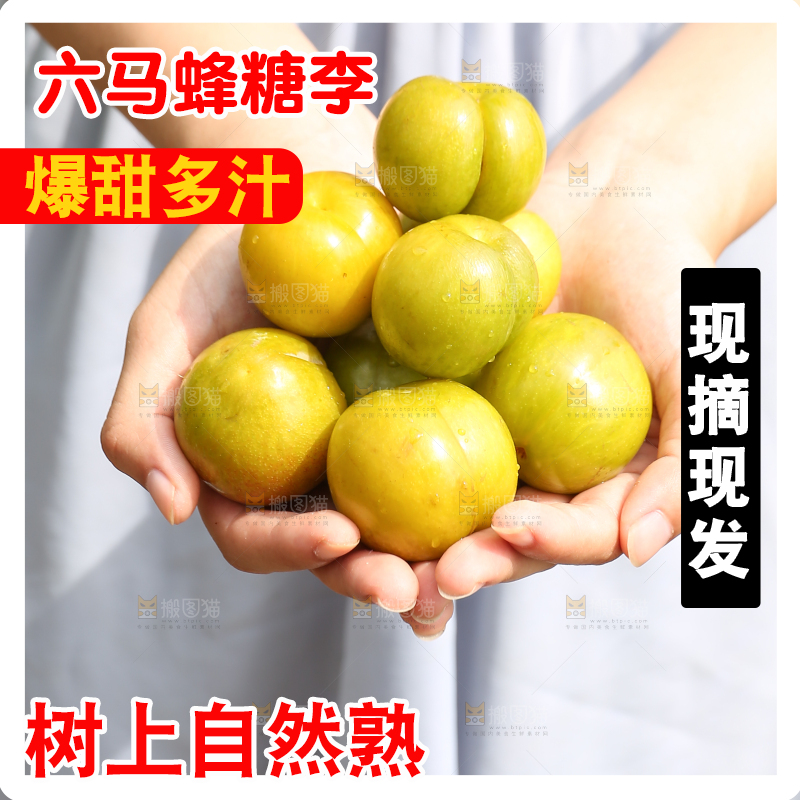 手上捧着新鲜蜂糖李