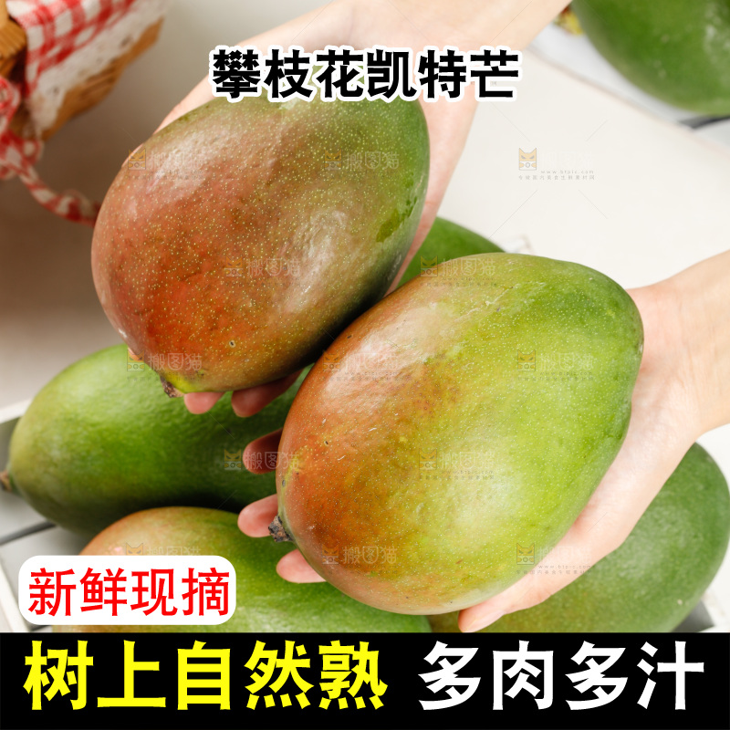手上拿着凯特芒