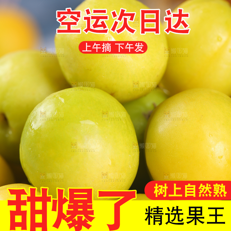 新鲜的小白杏
