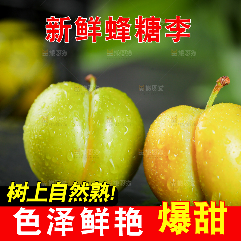 黑底上放着蜂糖李