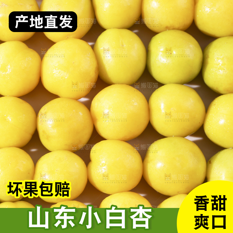 一堆新疆小白杏