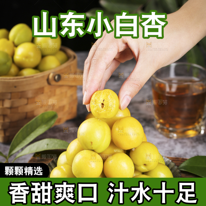 手上拿着的小白杏