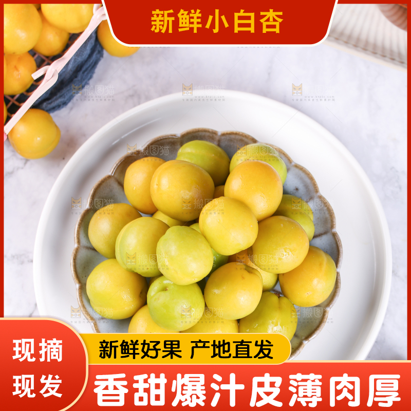 白底上放着一盘小白杏