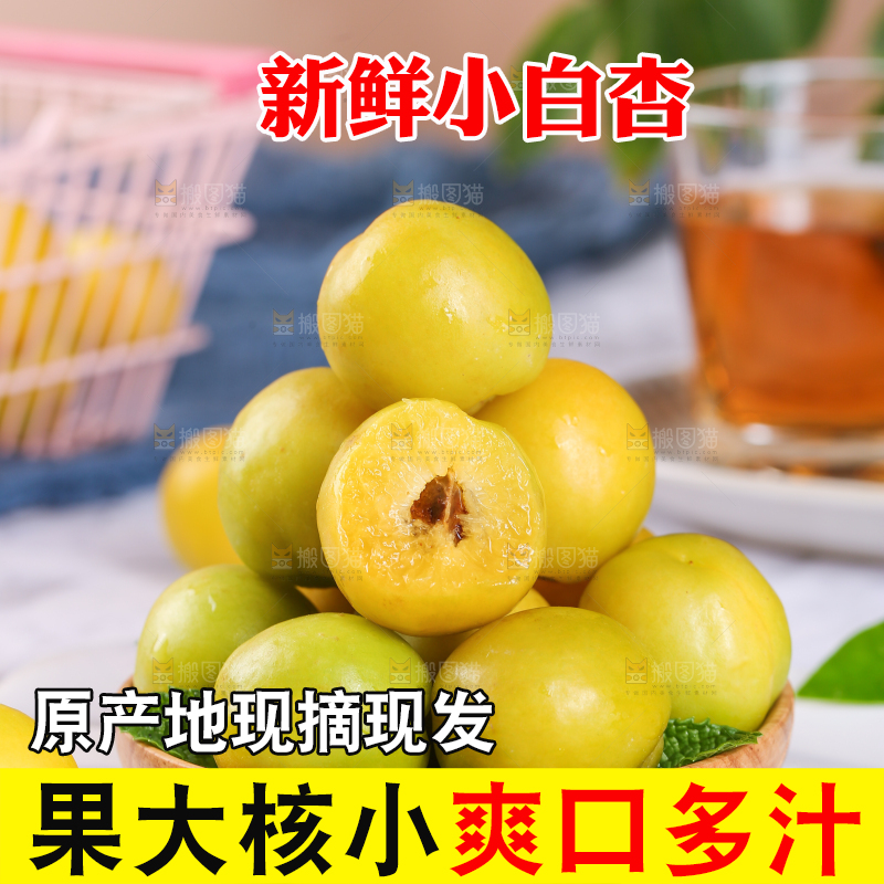 白底上放着一盘小白杏