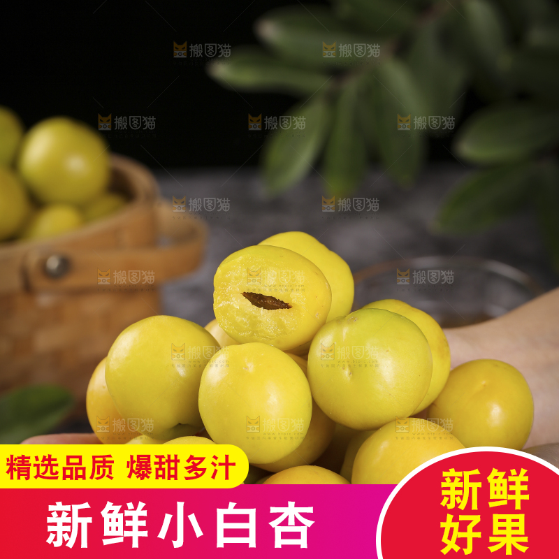 手上捧着新疆小白杏