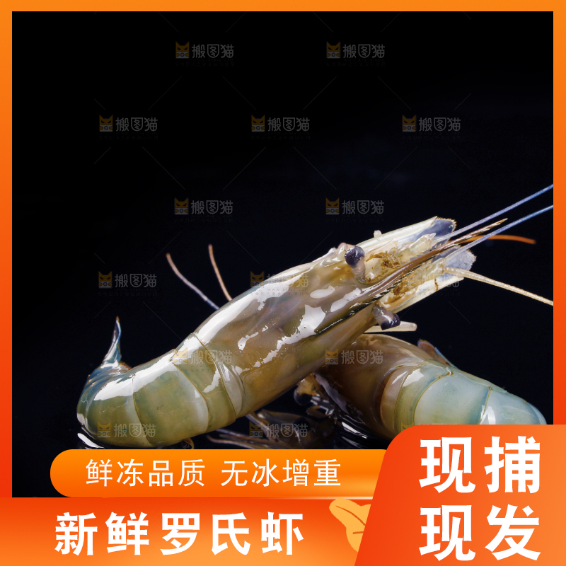 黑底上放着罗氏虾