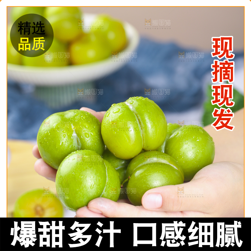 手上捧着蜂糖李