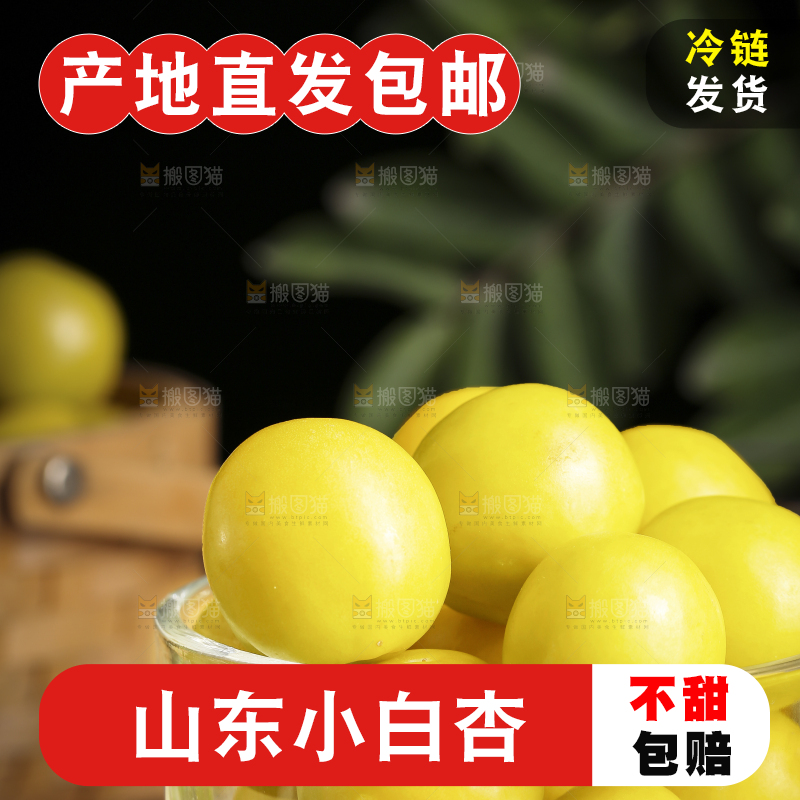 杯子里装着新疆小白杏