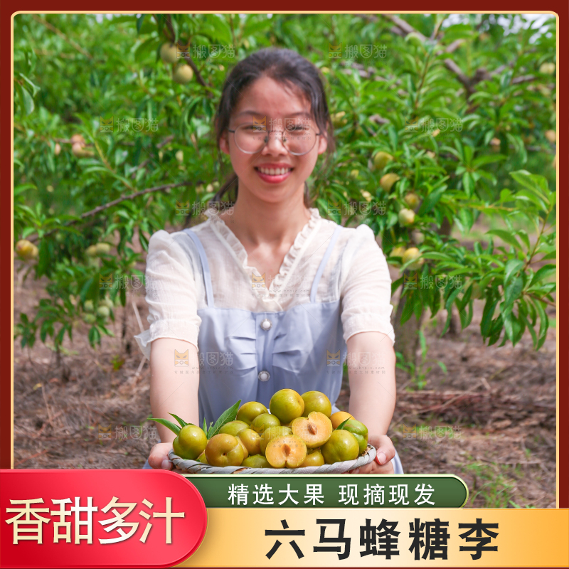 女孩手上拿着一筐冰糖李