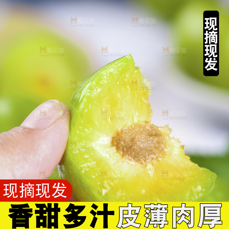 手上拿着蜂糖李