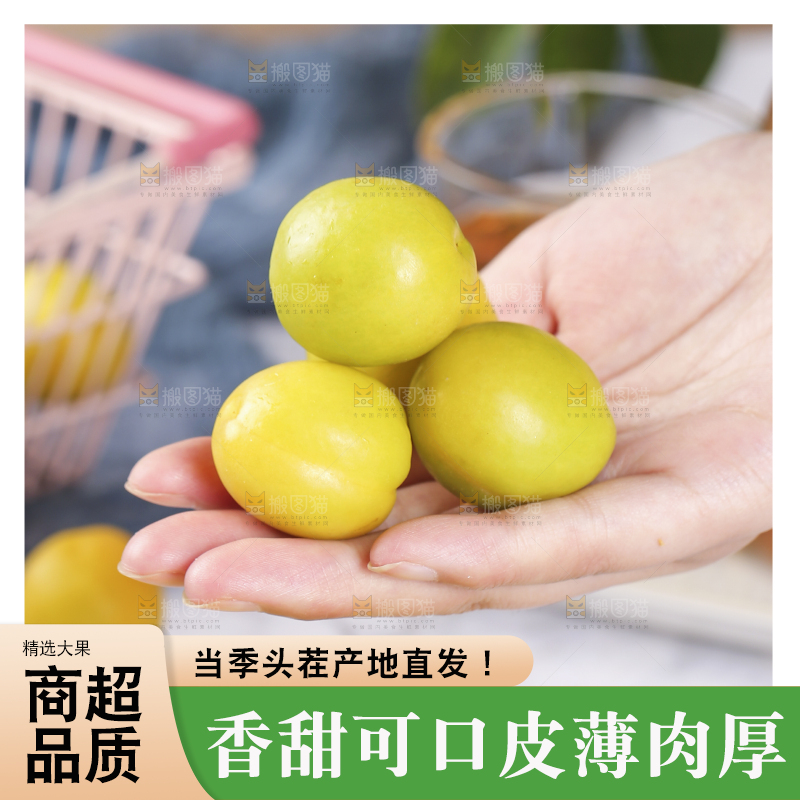 手上捧着小白杏