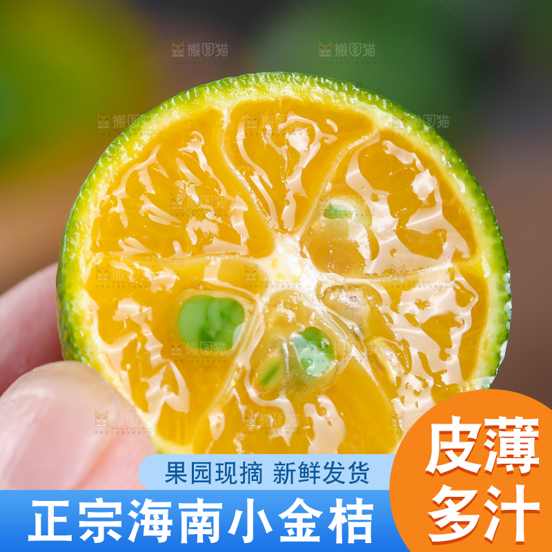 手上拿着小金桔