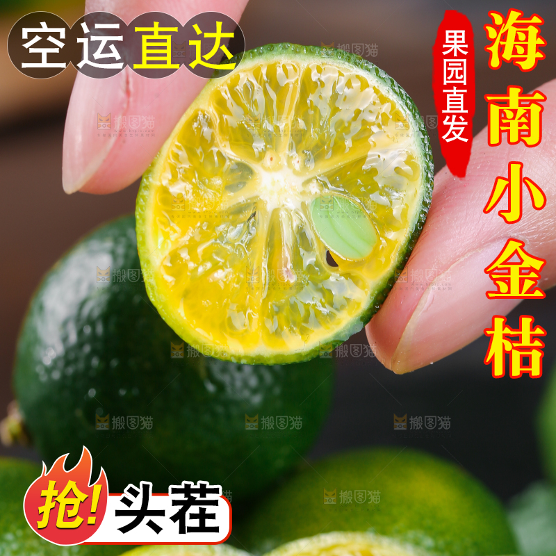 手上拿着小金桔