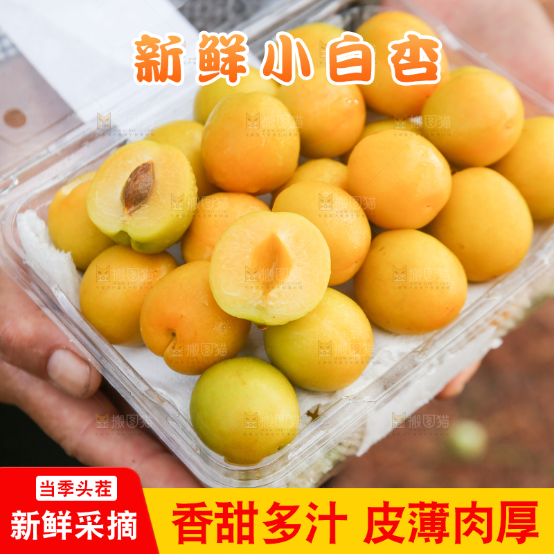 盒子里装着小白杏