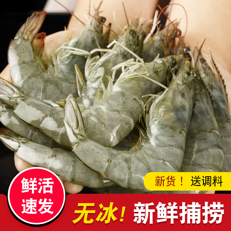 手上捧着新鲜对虾