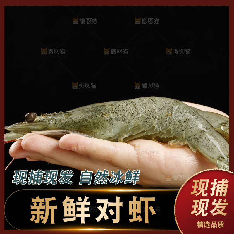 手上拿着的青岛大虾