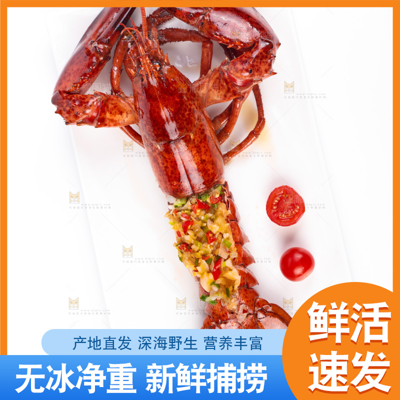 白底上放着波士顿大龙虾