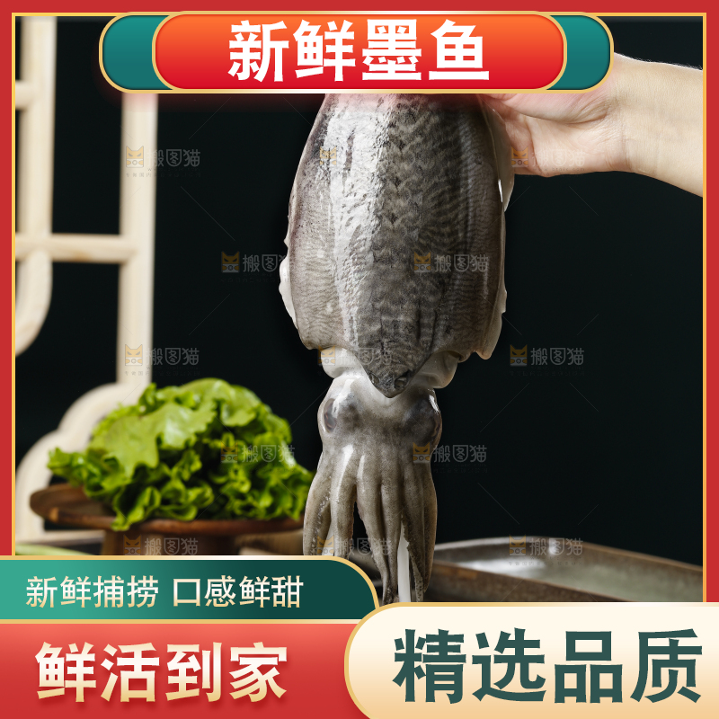 手上拿着的大墨鱼