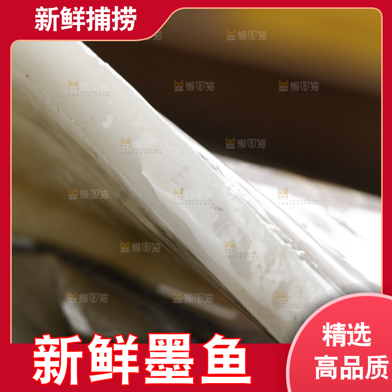 新鲜的野生大墨鱼