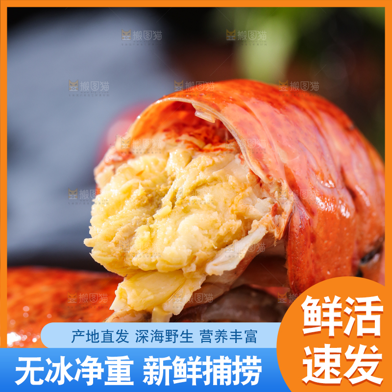 盘子里放着澳洲龙虾