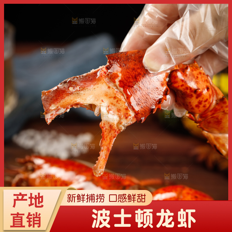 手上拿着波士顿大龙虾