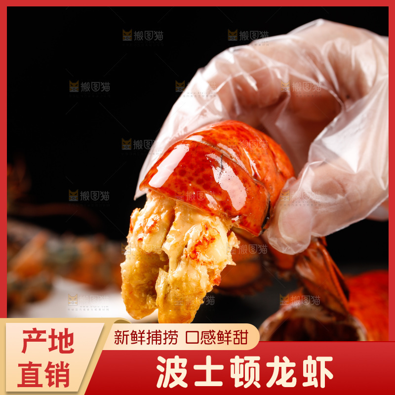 手上拿着澳洲龙虾