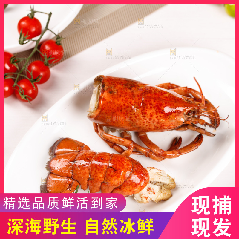 白底上放着一盘波士顿大龙虾